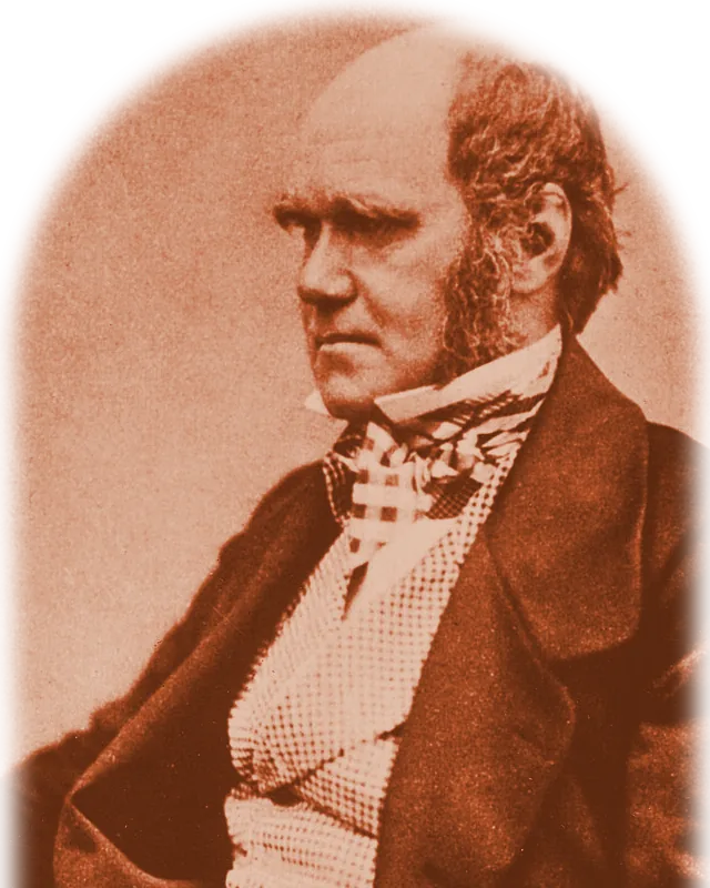 Porträt: Charles Darwin
